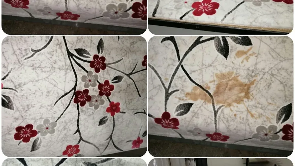 Niğde Kaymaz Halı ve Kilim Yıkama