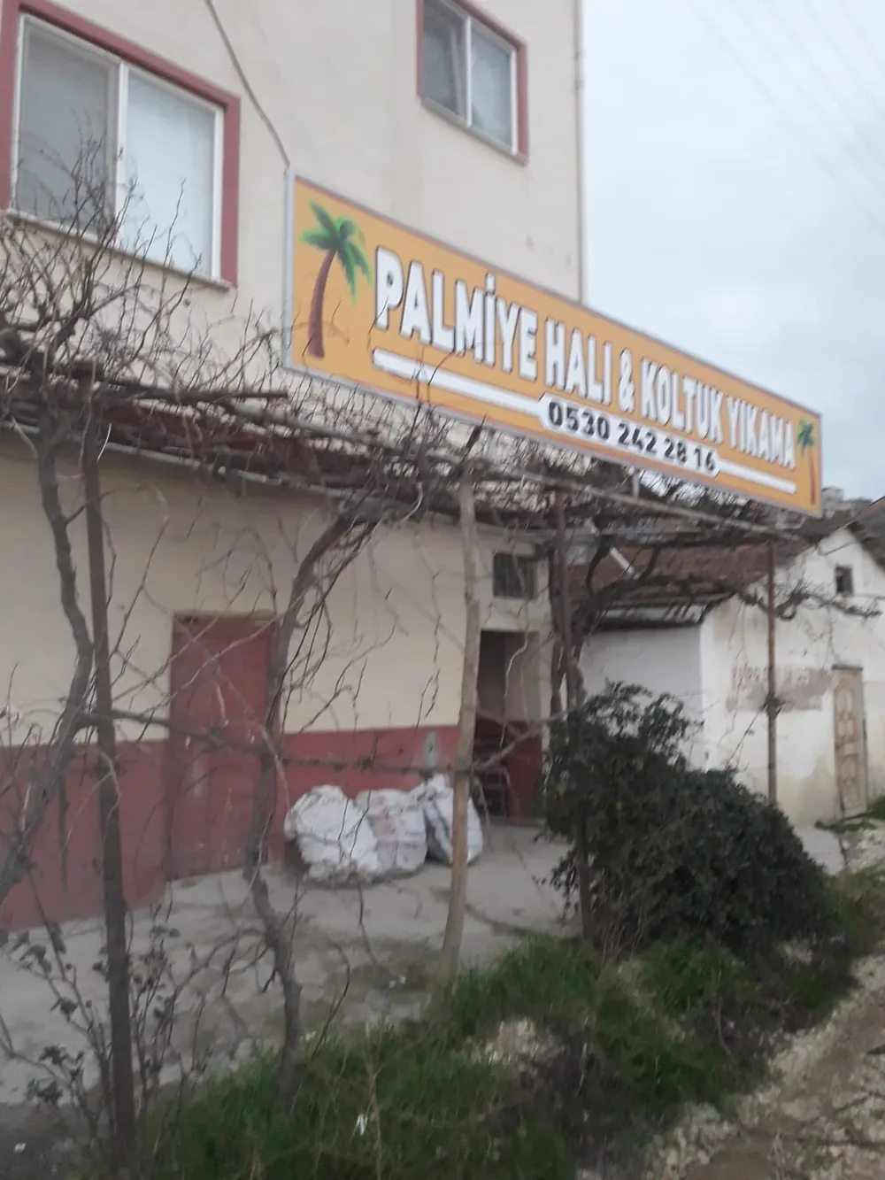 Palmiye Halı Yıkama & Koltuk Yıkama
